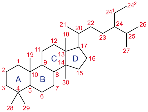 Abstract diagram featuring red numbered points from 1 to 29 and blue lettered points A through D scattered across a black background, possibly representing a molecular structure or spatial map.