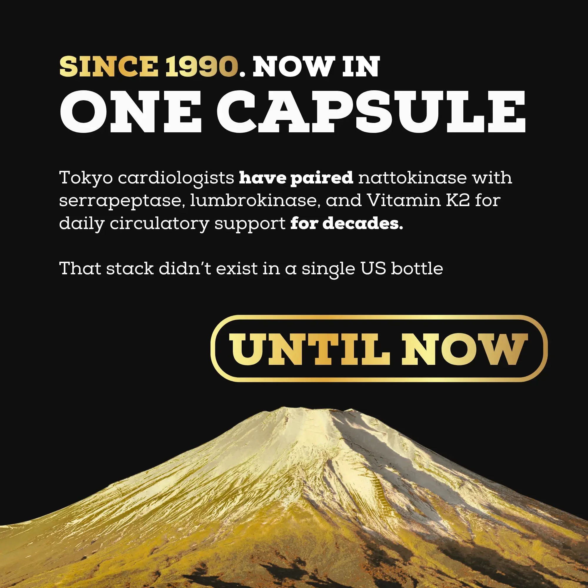 Circulatory support supplement capsule containing nattokinase, serrapeptase, lumbrokinase, and Vitamin K2. Marketing graphic features Mount Fuji on a black background with gold and white text highlighting Tokyo cardiologist recommendations.